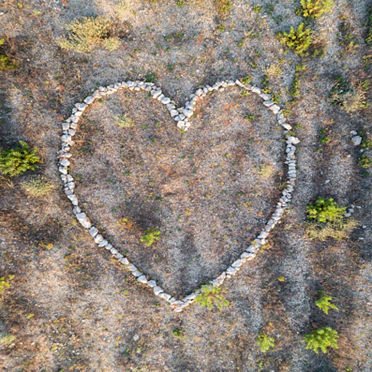 प्रतीकात्मक तस्वीर