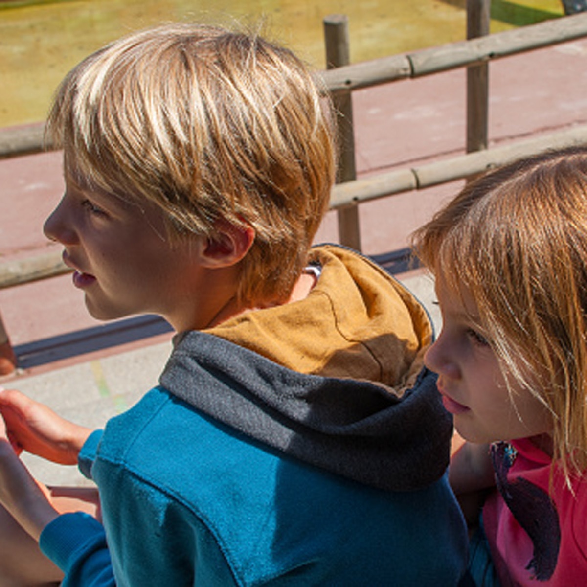 प्रतीकात्मक तस्वीर