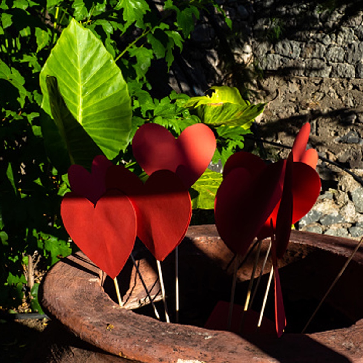 प्रतीकात्मक तस्वीर