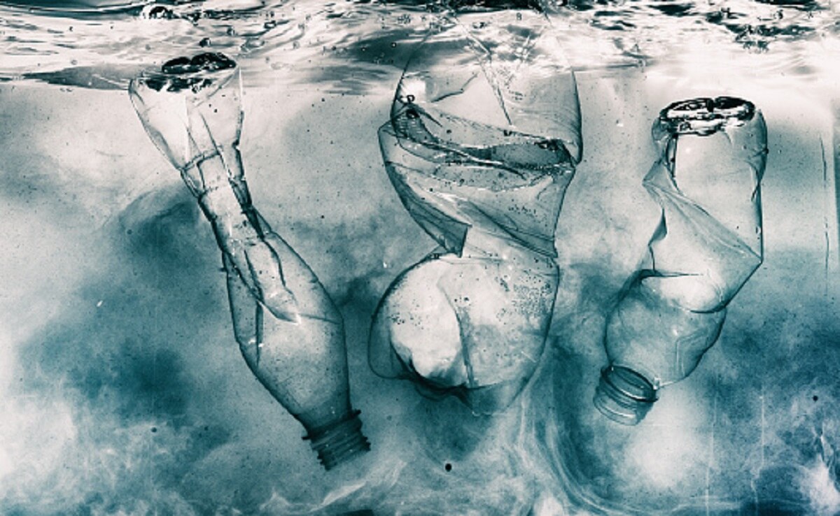 पुरुषों के प्राइवेट पार्ट की लंबाई घटा रहा पॉल्यूशन