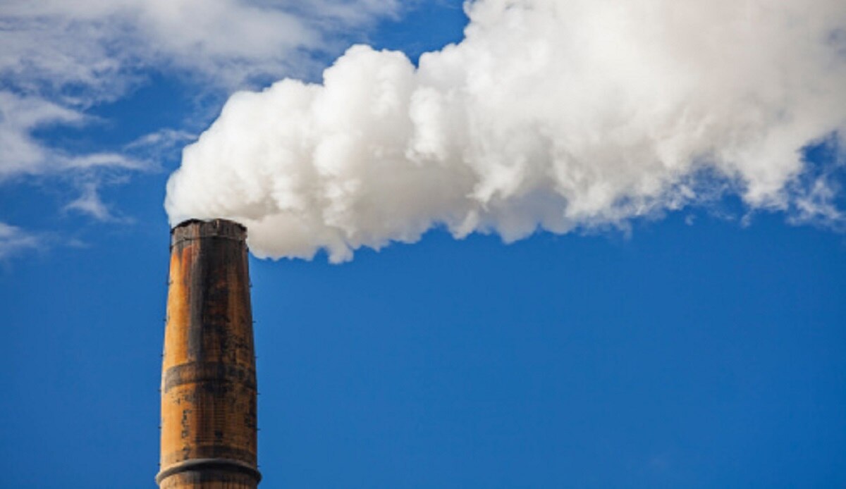 पुरुषों के प्राइवेट पार्ट की लंबाई घटा रहा पॉल्यूशन