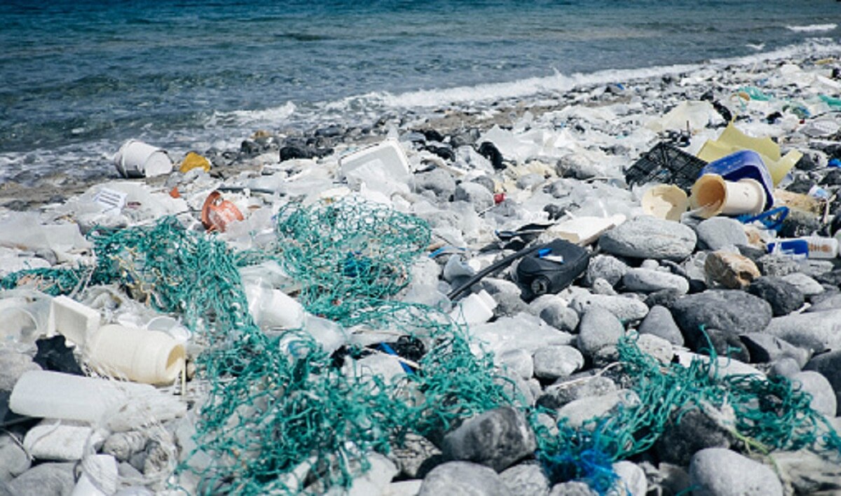 पुरुषों के प्राइवेट पार्ट की लंबाई घटा रहा पॉल्यूशन