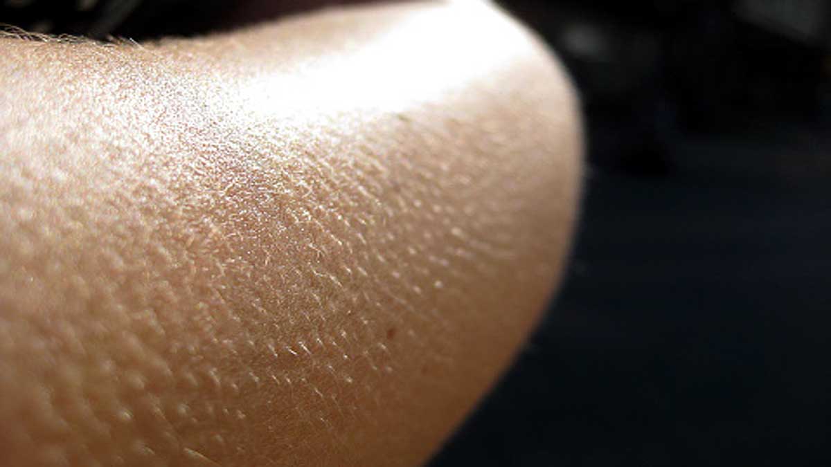 Karnataka Man alive before Postmortem