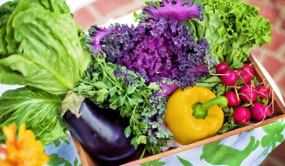 विटामिन B6