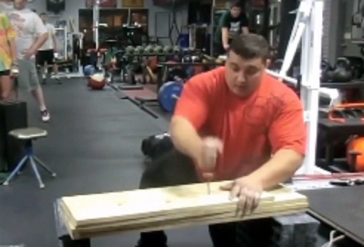 घोड़े को अपने कंधे पर उठा लेता है ये शख्स