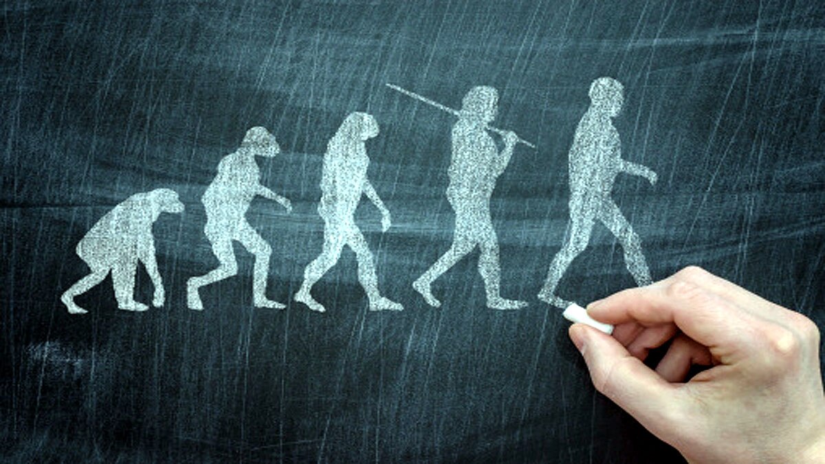 Human Ancestor Lucy Gets New Face