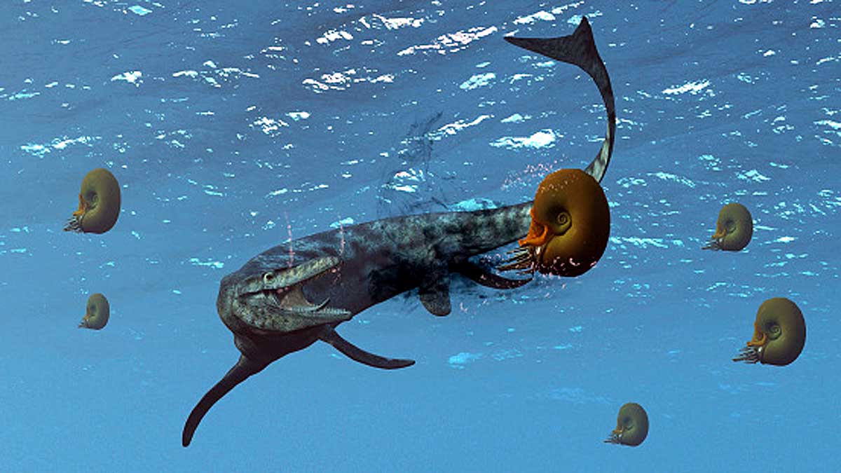 Genes of 50 Crore Year Old Sea Monsters in Human