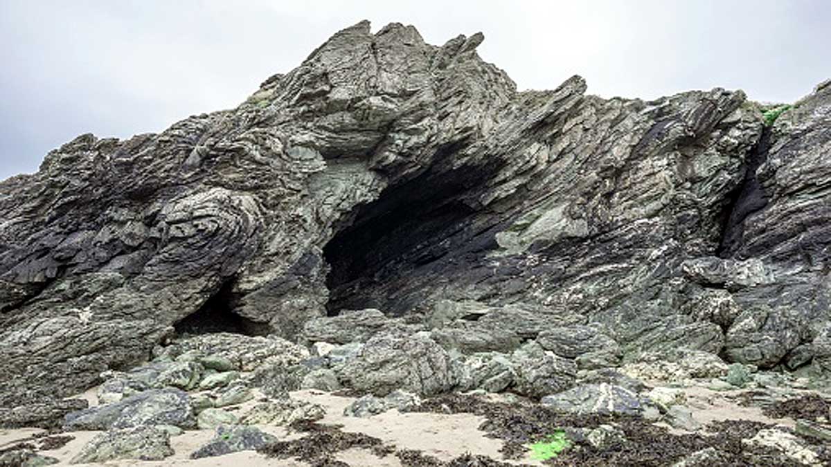 Genes of 50 Crore Year Old Sea Monsters in Human