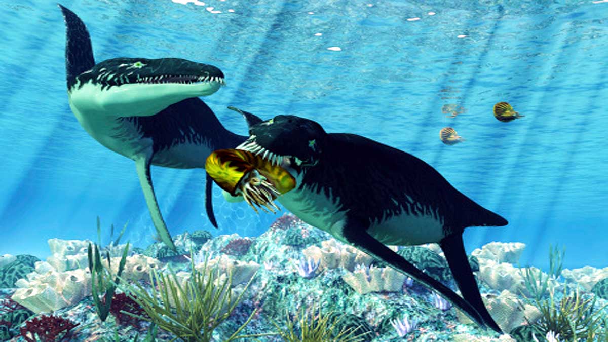 Genes of 50 Crore Year Old Sea Monsters in Human