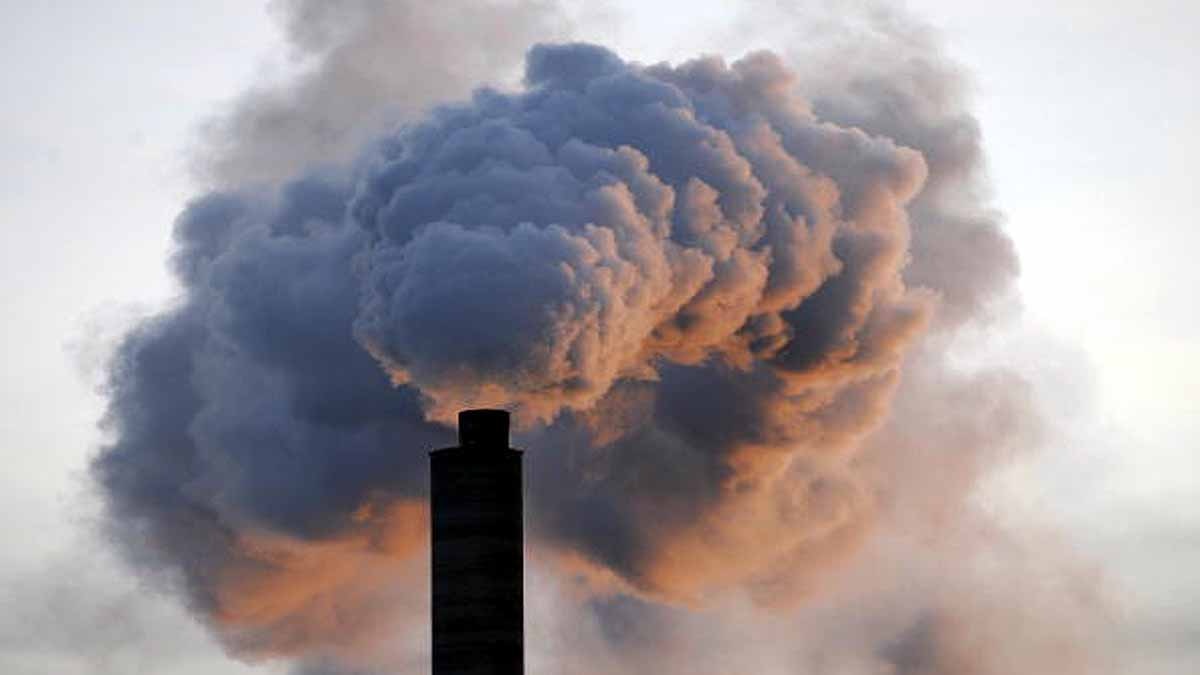 Human Penis shrinking due to Pollution