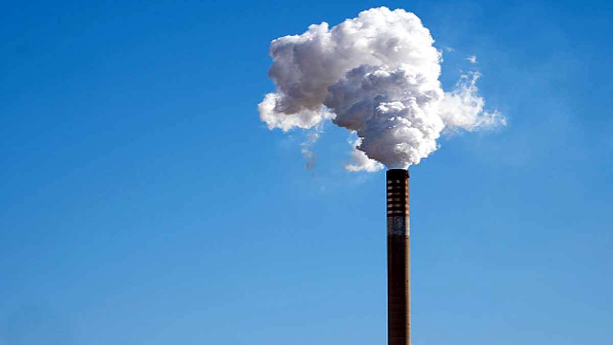 Human Penis shrinking due to Pollution