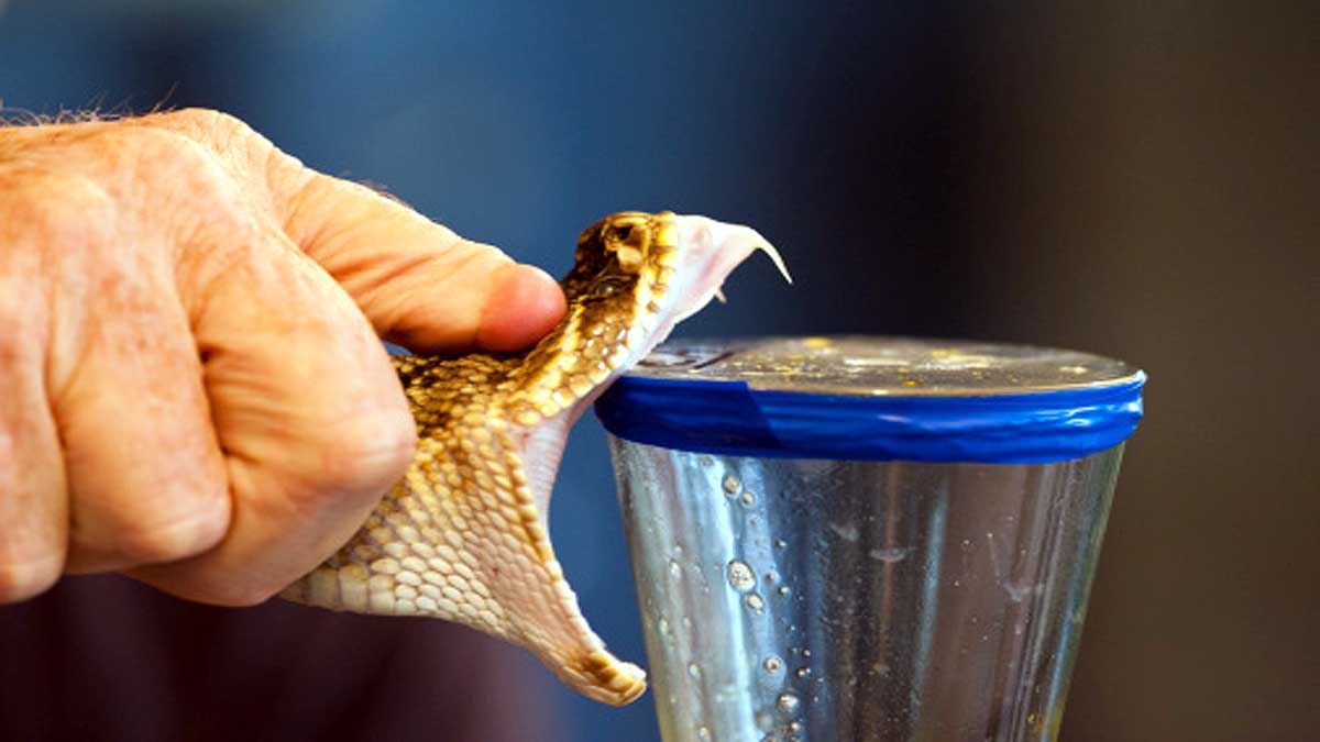 What if human produce poison