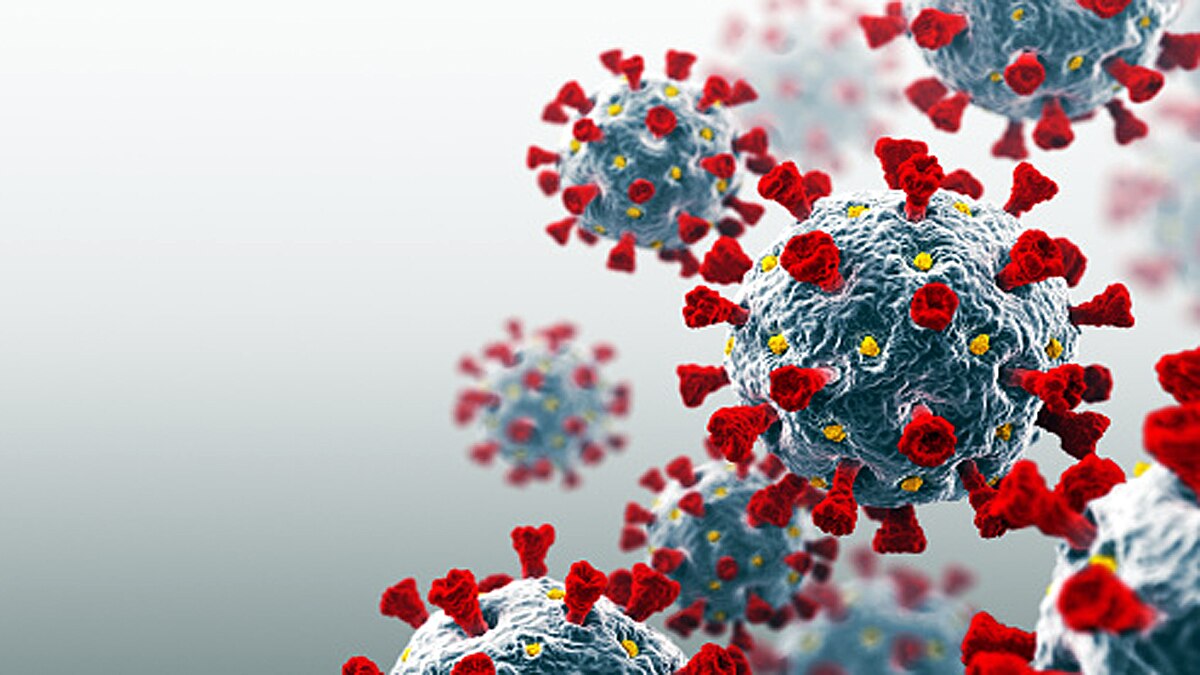 Hybrid Coronavirus are Spreading