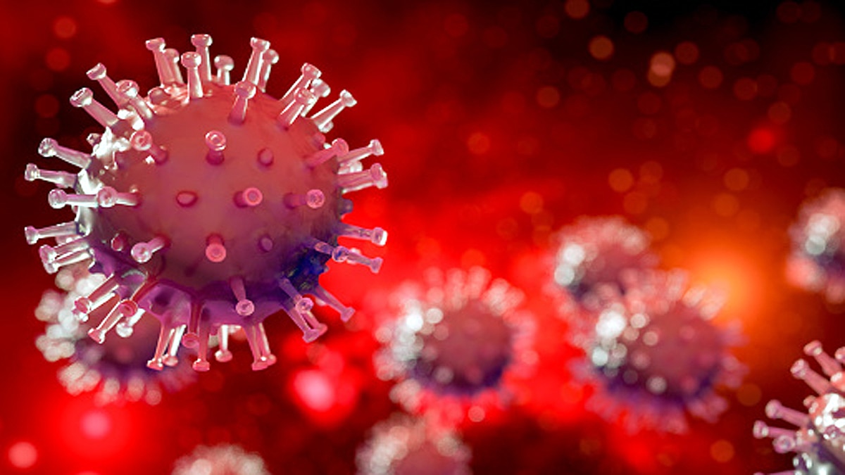 Hybrid Coronavirus are Spreading