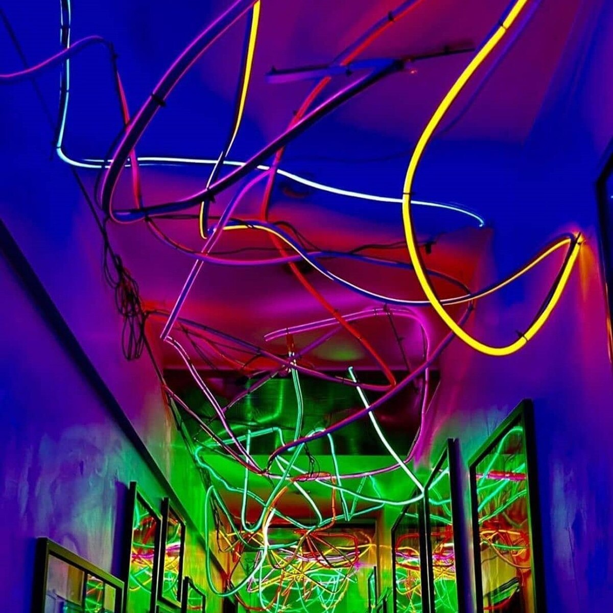 इब्राहिम अली खान