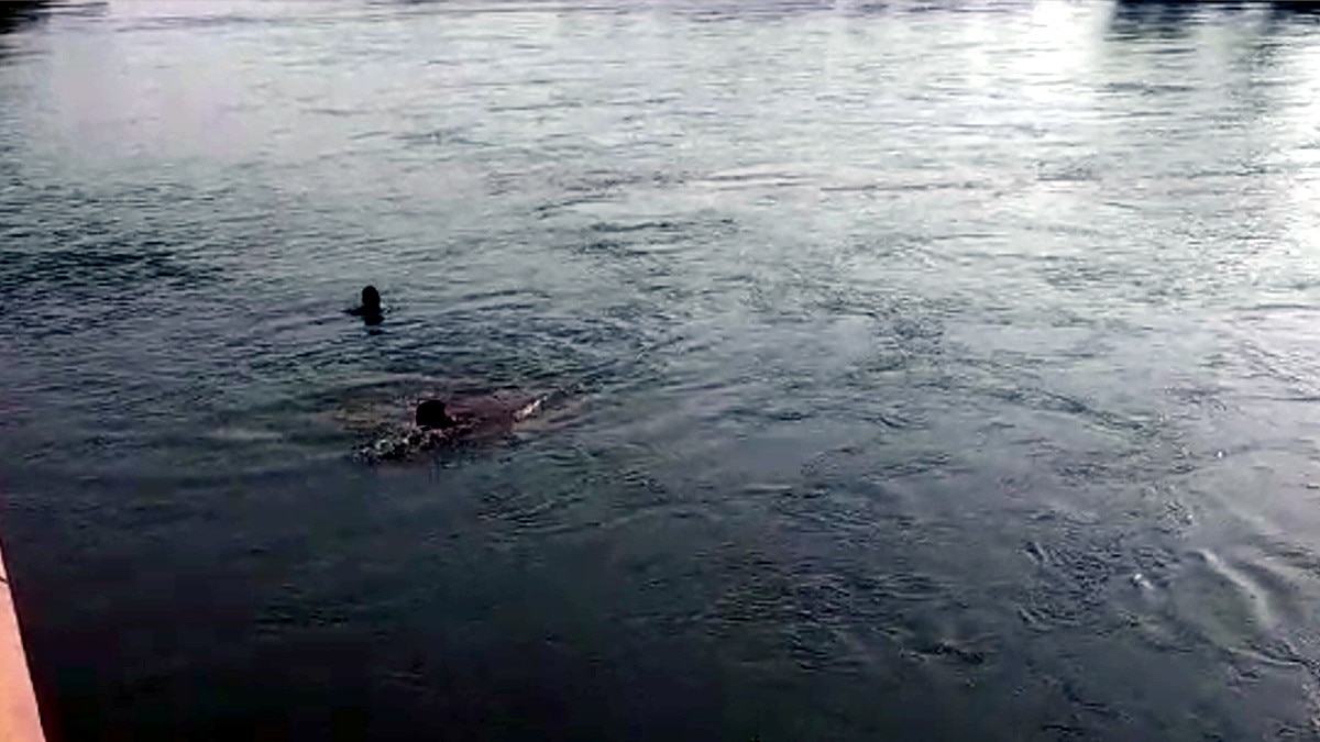 पिता ने 15 माह के मासूम को जिंदा नहर में फेंका, आरोपी के पुत्रवधू से थे अवैध संबंध