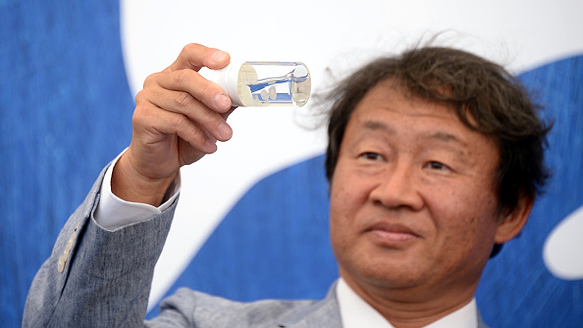  Immortal Species of Jellyfish which never dies