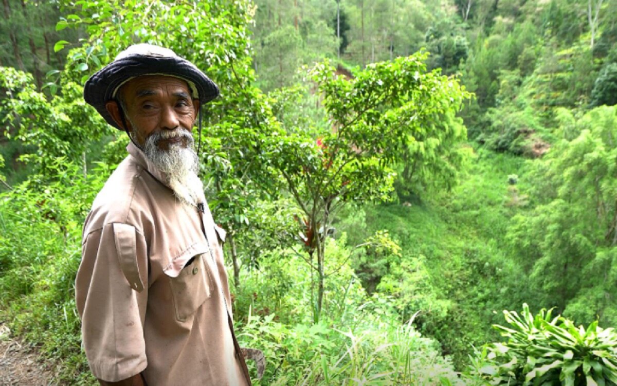 शख्स ने बंजर पहाड़ियों पर उगा दिया जंगल