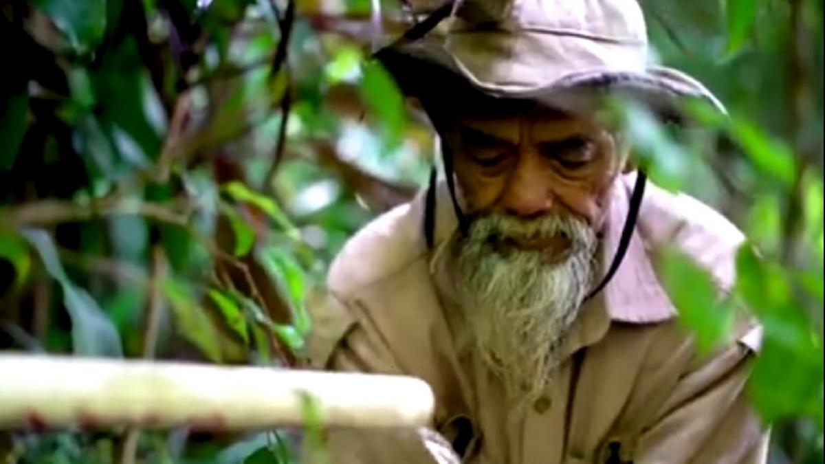 'क्लाइमेट एक्टिविस्ट' ने 24 साल बहाया खून-पसीना, बंजर जमीन पर उगा दिया जंगल