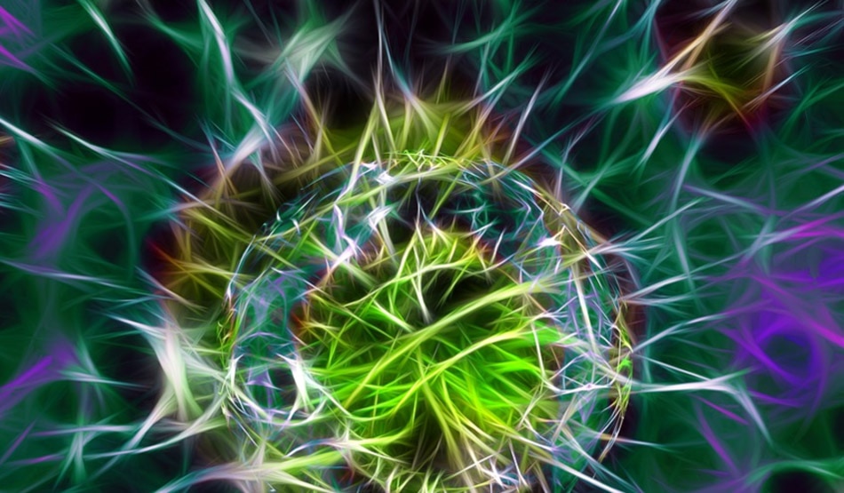 इंफेक्शन से लड़ने में मदद