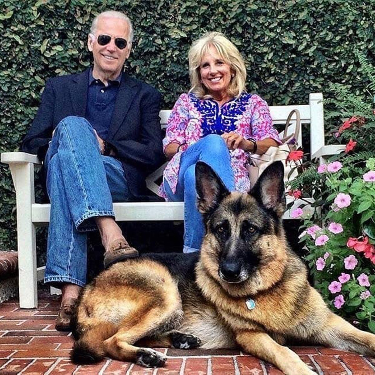 joe biden with his dog