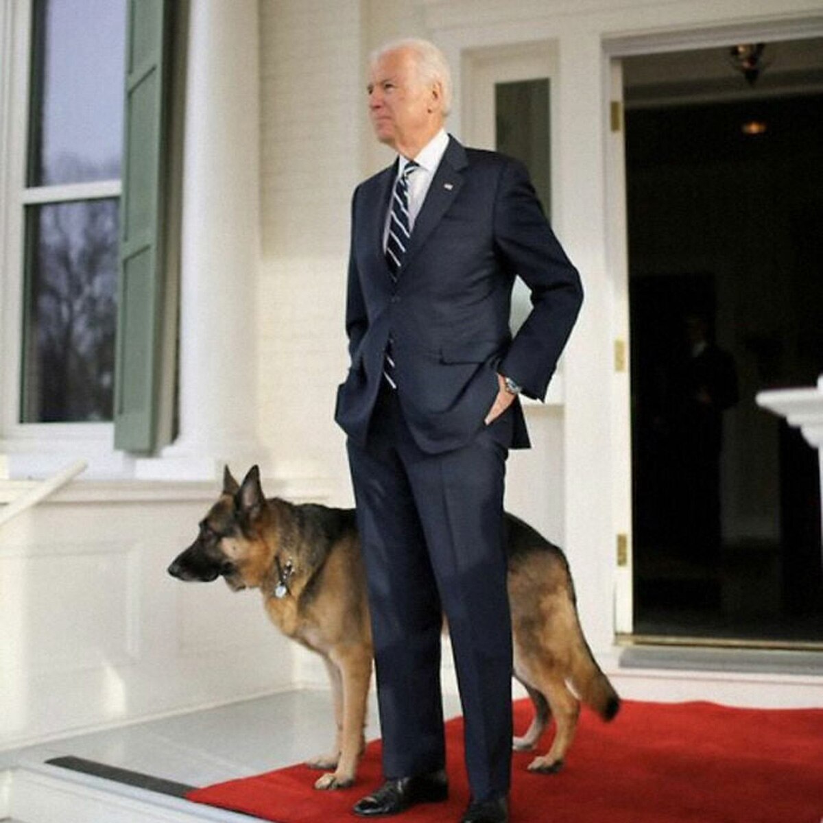 joe biden with his dog