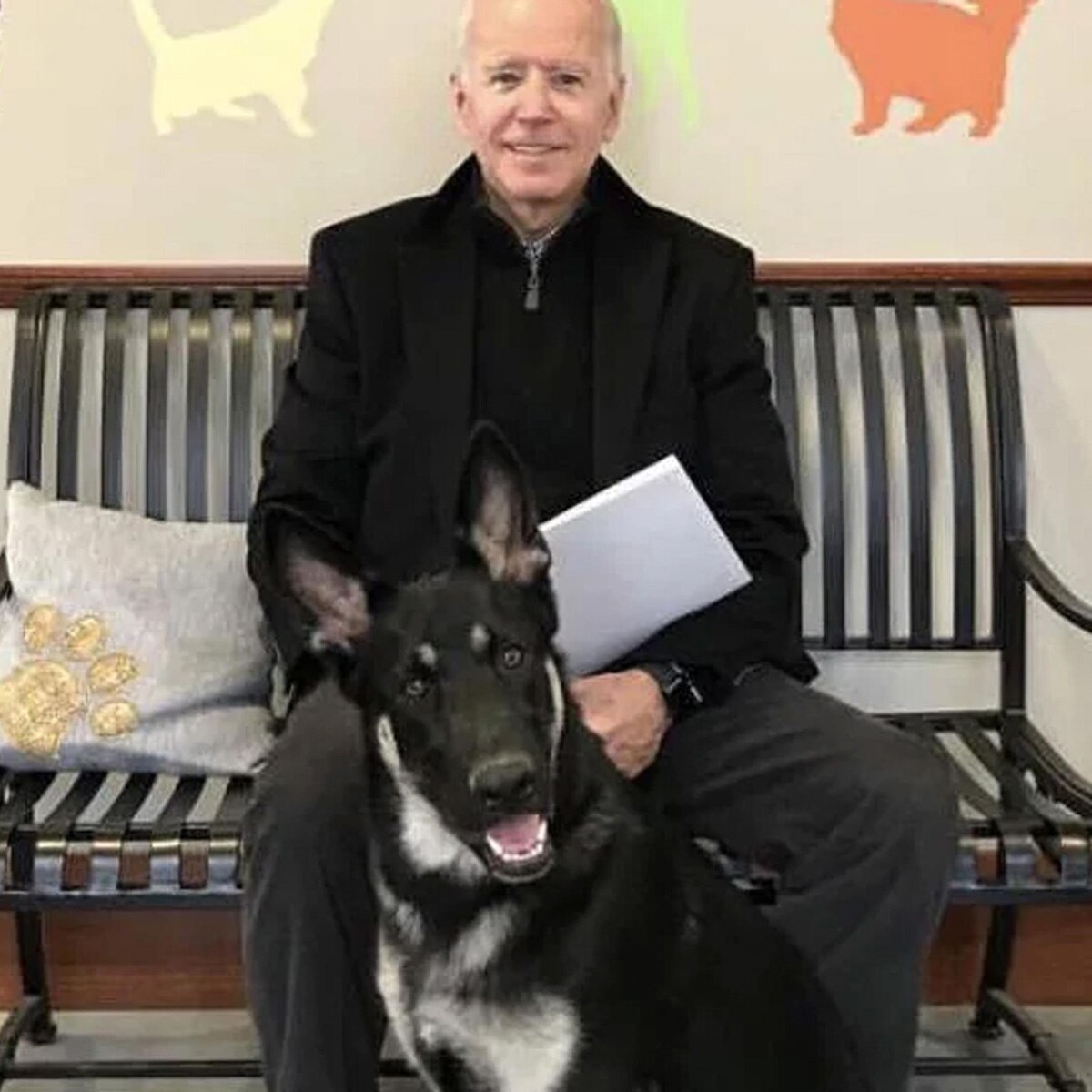 joe biden with his dog