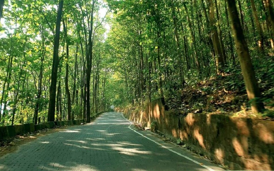 कलिंपोन्ग (पश्चिम बंगाल)