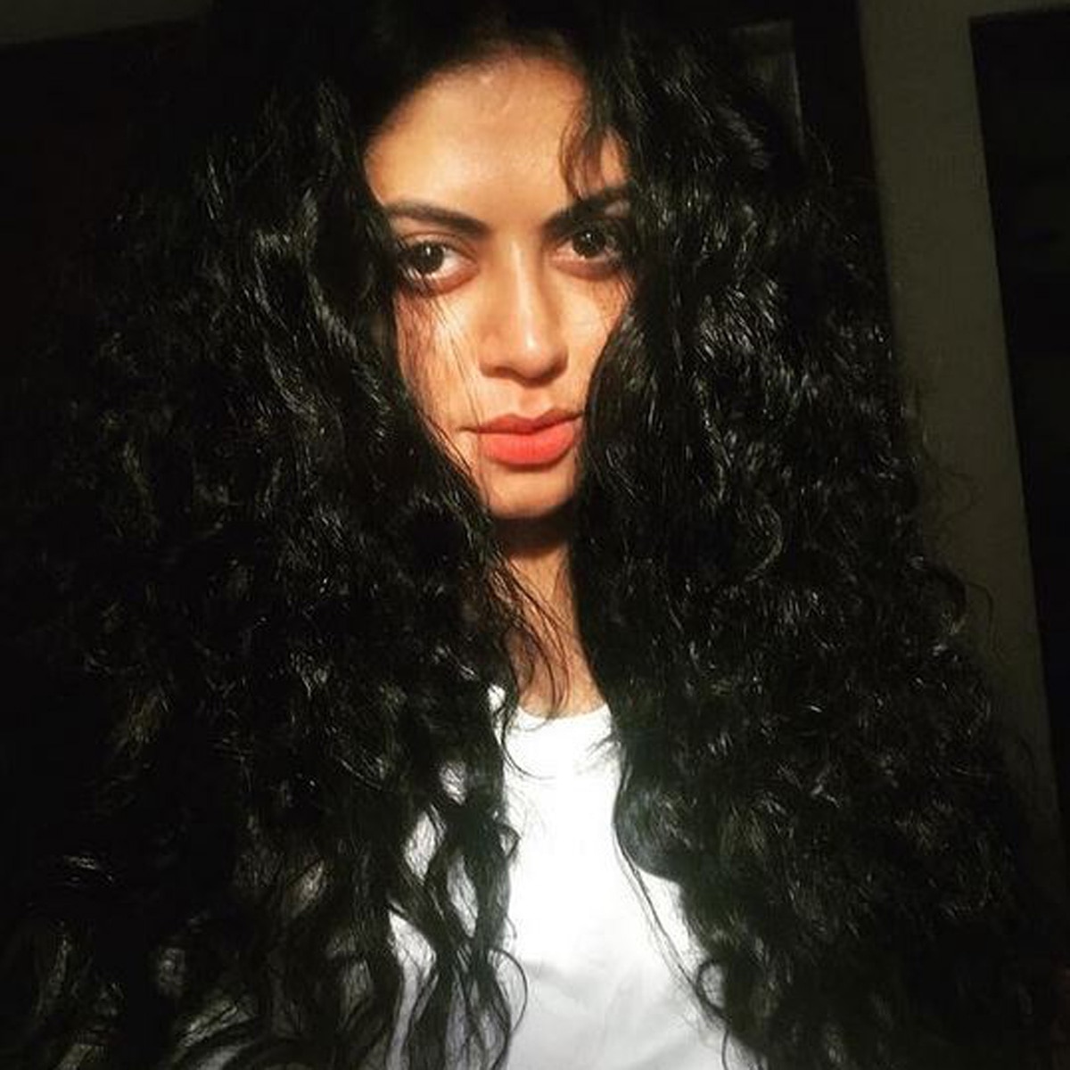 कविता कौशिक