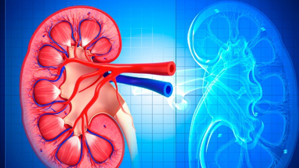 किडनी फेल
