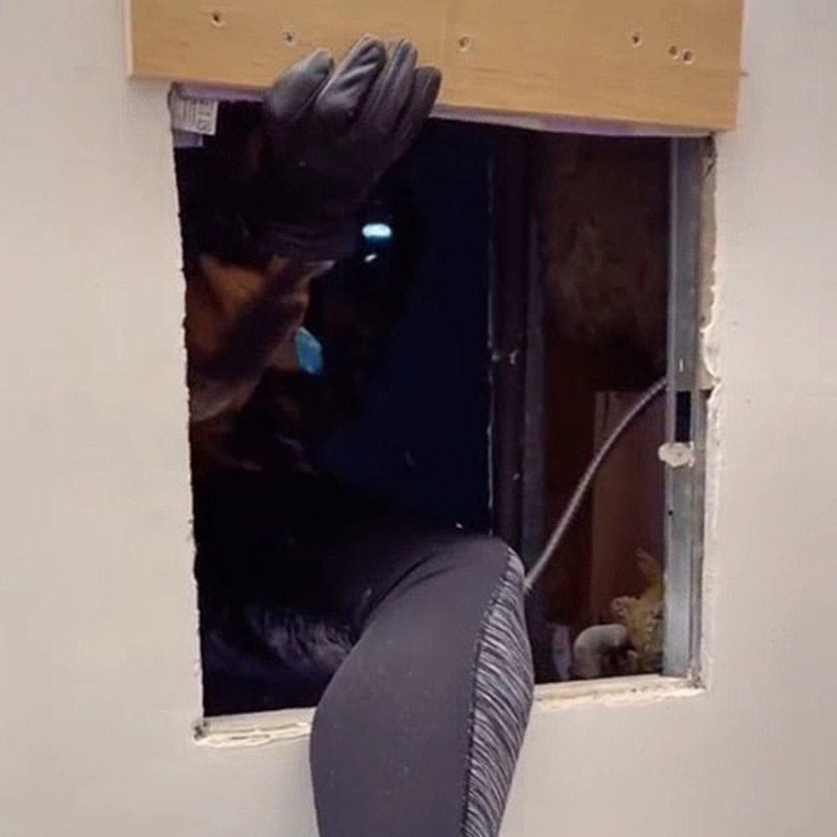 समांथा का घर