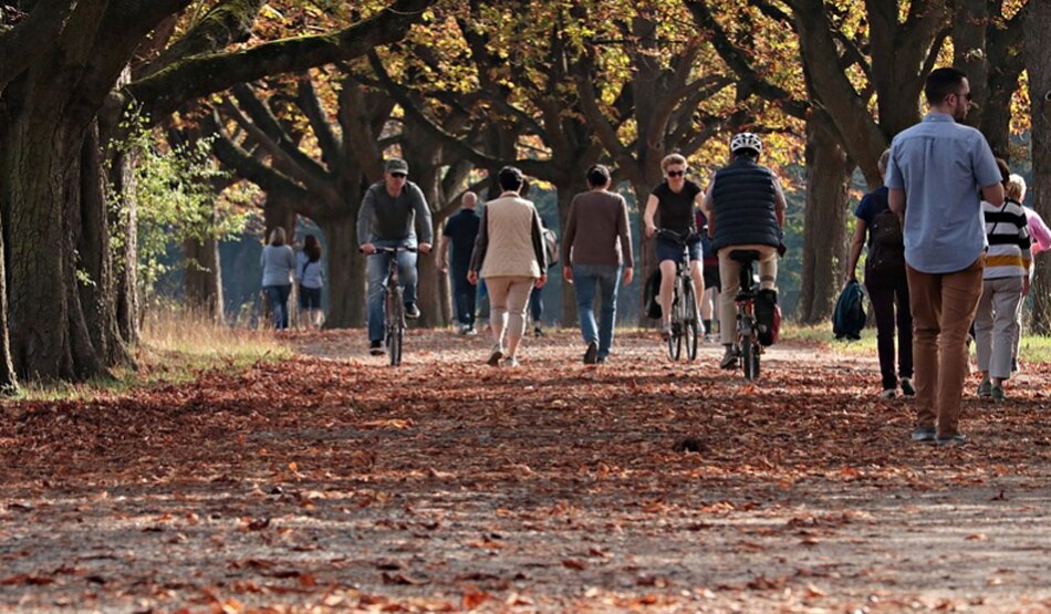 प्रतिदिन वॉक पर जाया जाए