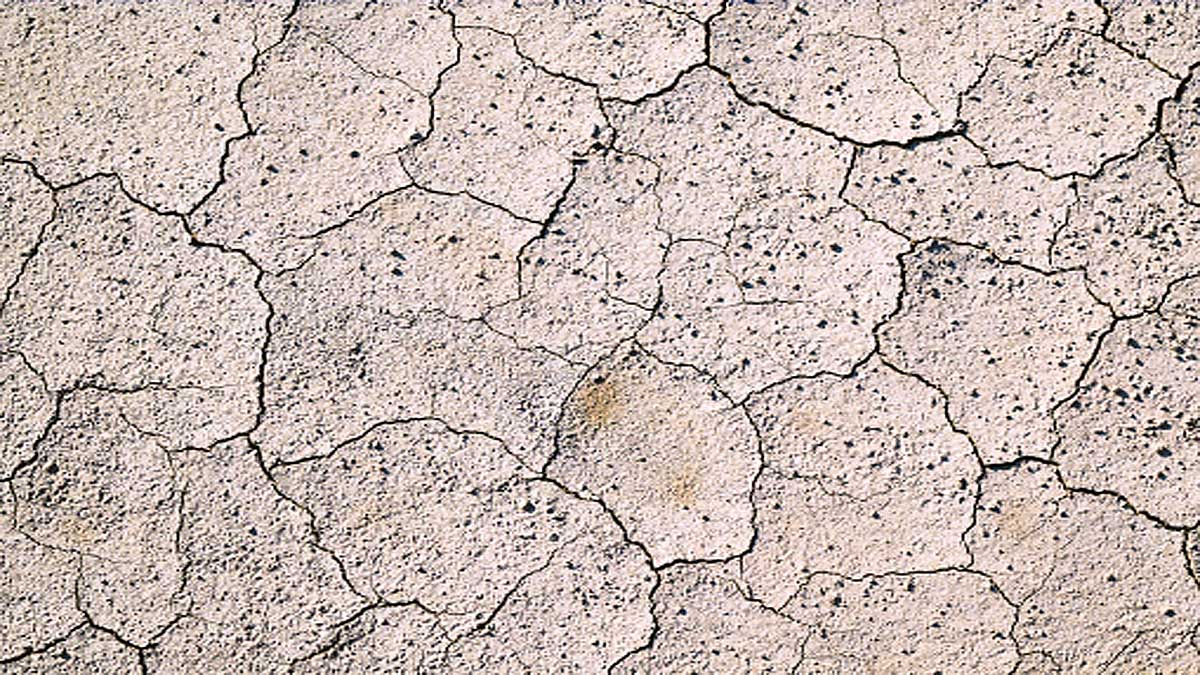 Life on Earth Killed by Lack of Oxygen