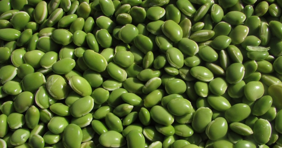 लिमा बीन्स 