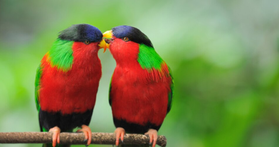 बेडरूम में क्या रखें