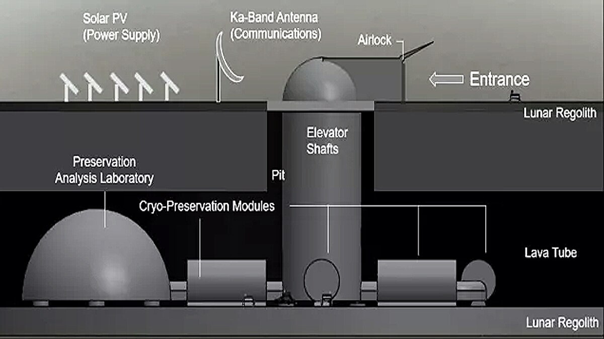 Scientists to Store Human Sperm DNA of 67 Lakh Species on Moon