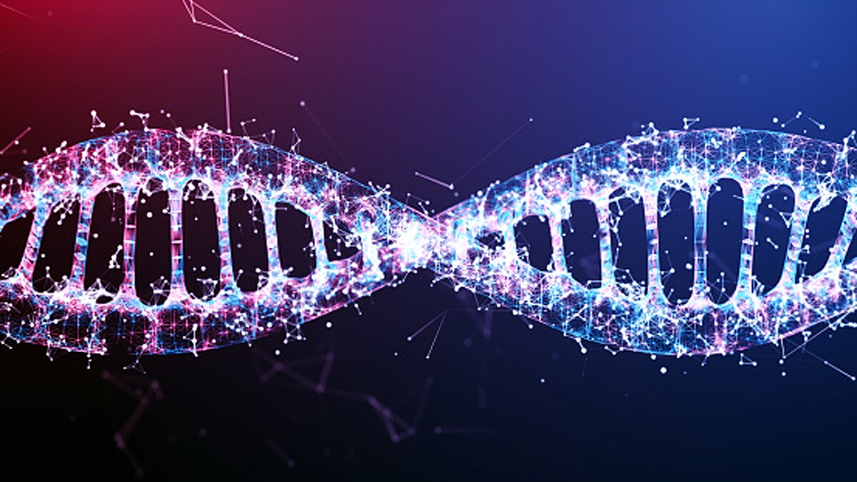 Scientists to Store Human Sperm DNA of 67 Lakh Species on Moon