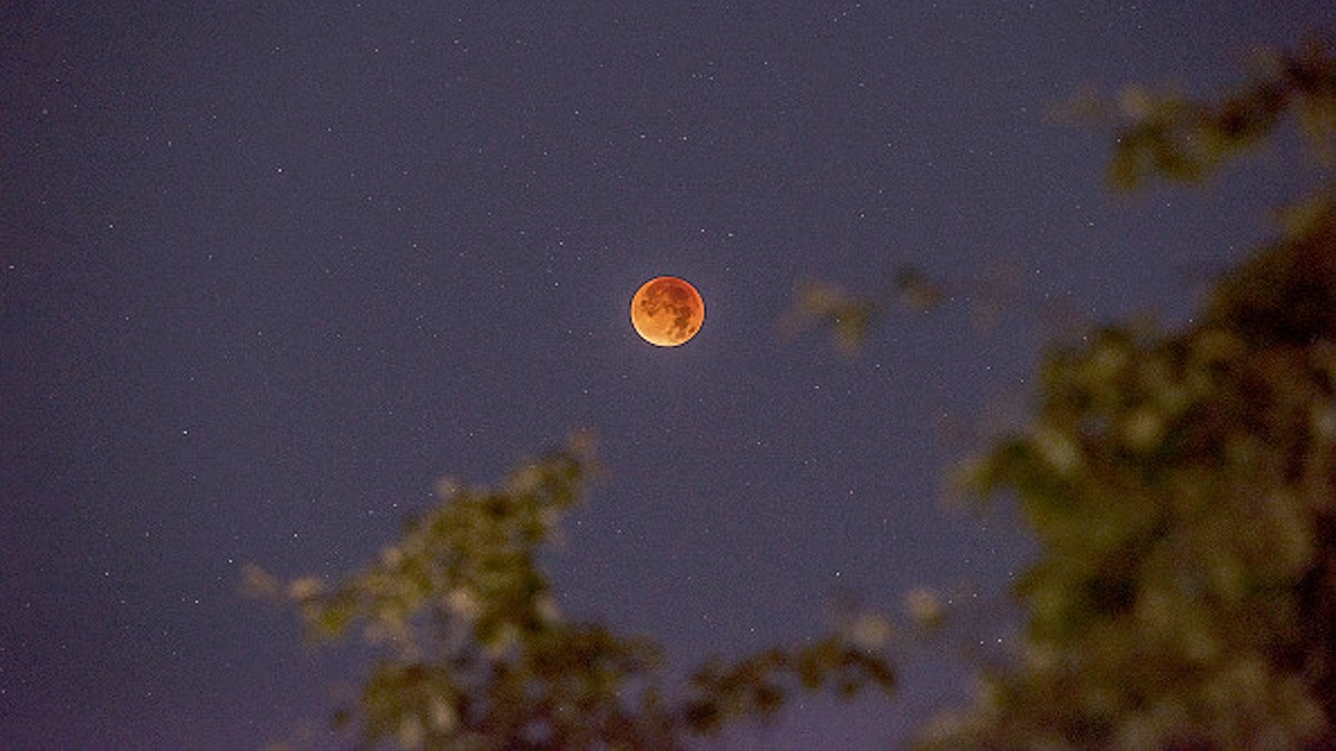 Lunar tail Earth wears it like scarf