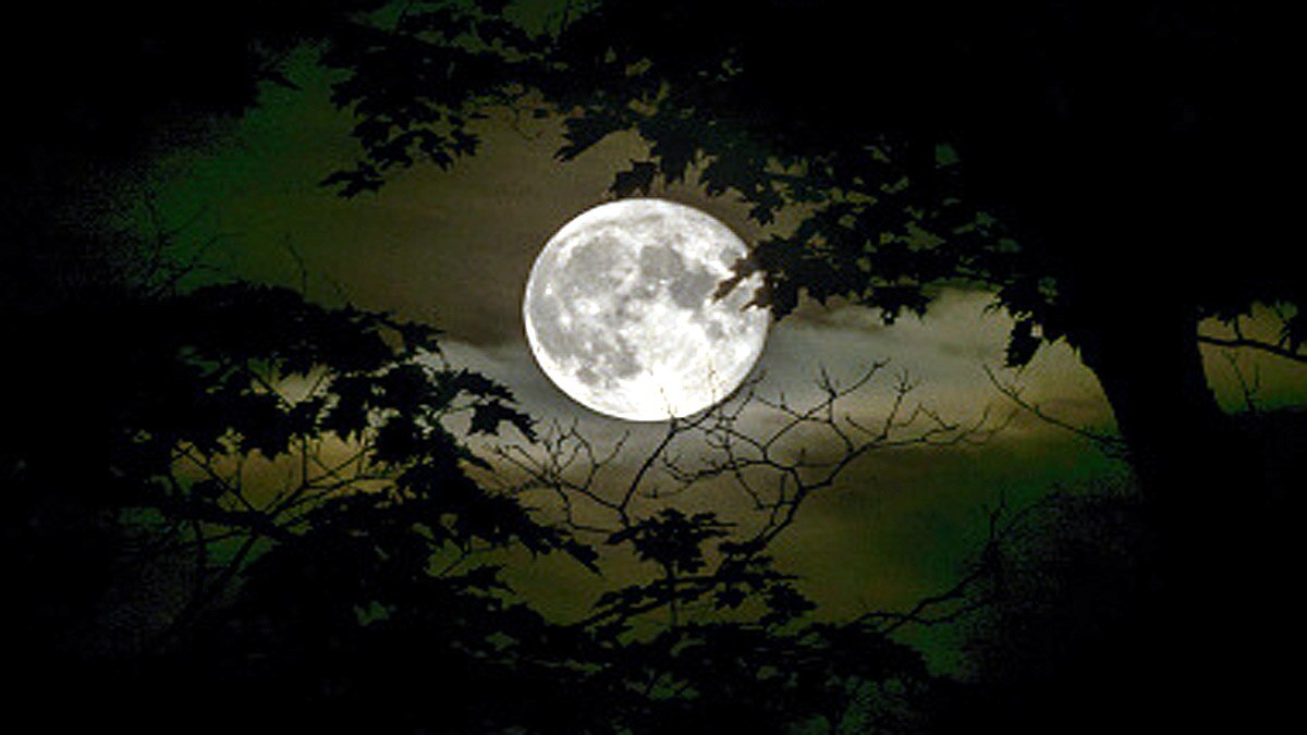 Lunar tail Earth wears it like scarf