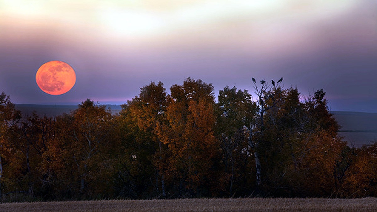 Lunar tail Earth wears it like scarf