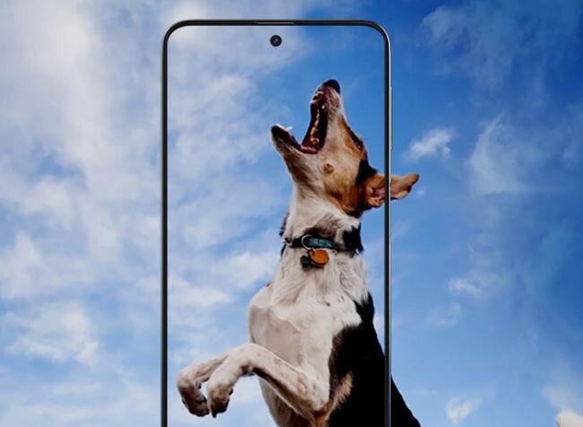 Samsung Carnival Sale