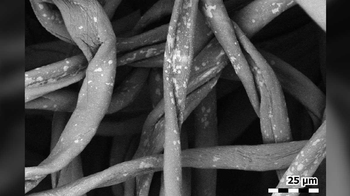 How a Face Mask Looks Under an Electron Microscope