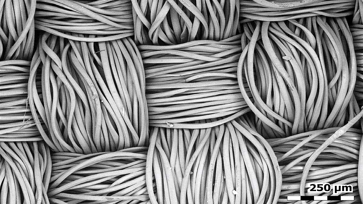 How a Face Mask Looks Under an Electron Microscope