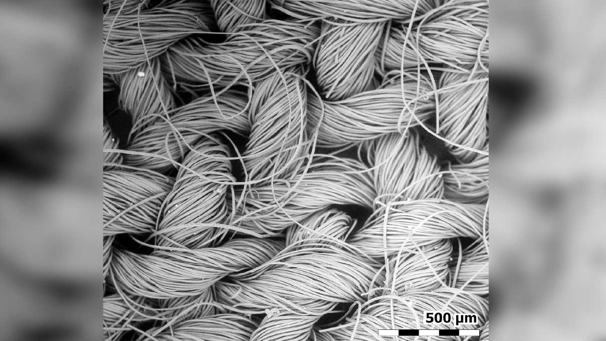 How a Face Mask Looks Under an Electron Microscope
