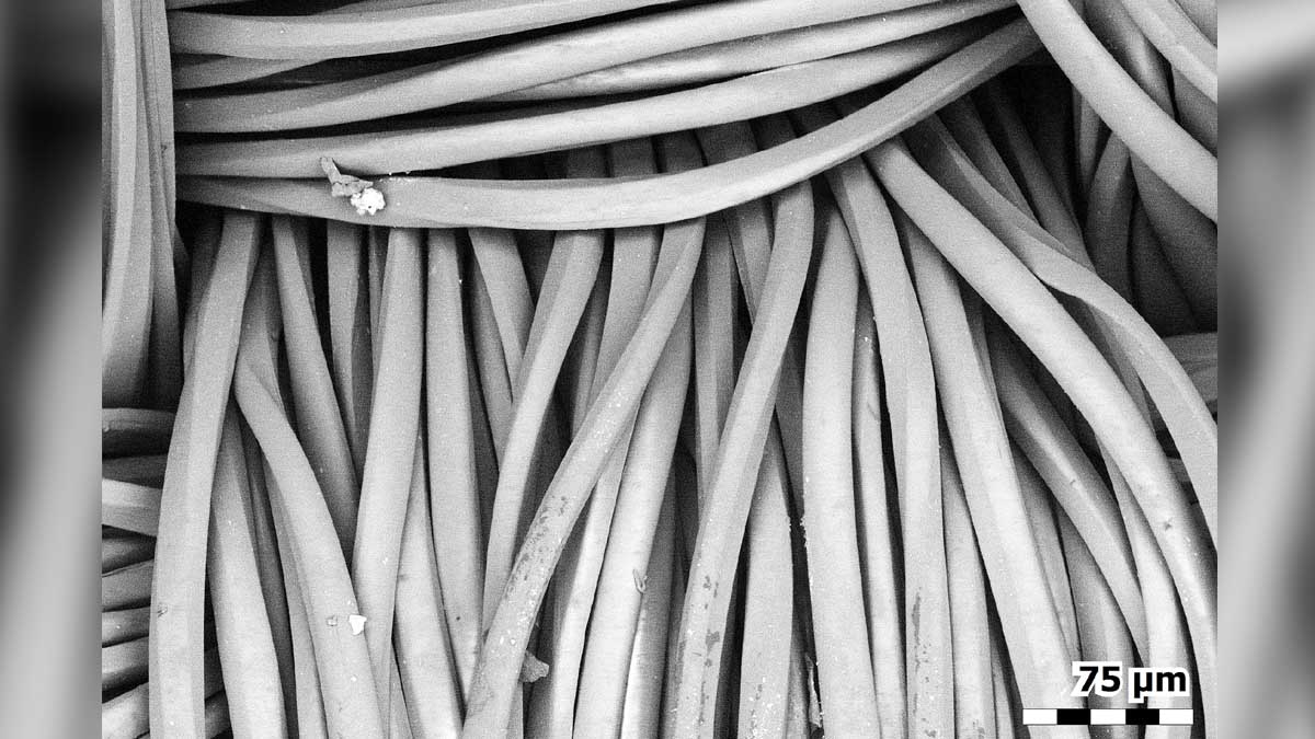 How a Face Mask Looks Under an Electron Microscope