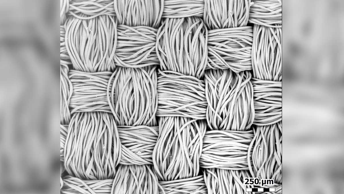 How a Face Mask Looks Under an Electron Microscope