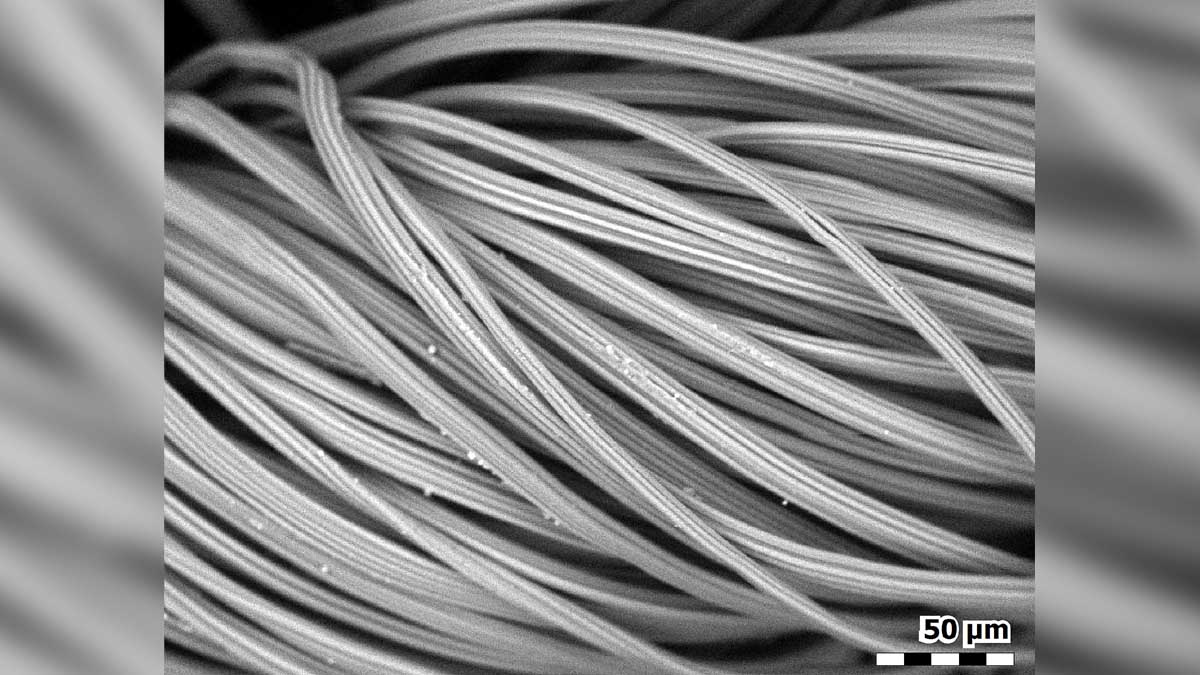 How a Face Mask Looks Under an Electron Microscope