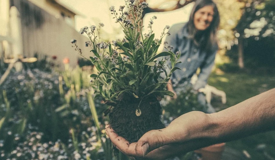 बेहतर मेंटल हेल्थ के लिए