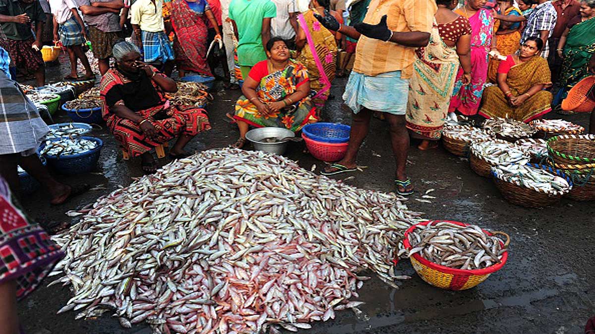 Microplastics in 7 Indian popular Fish 