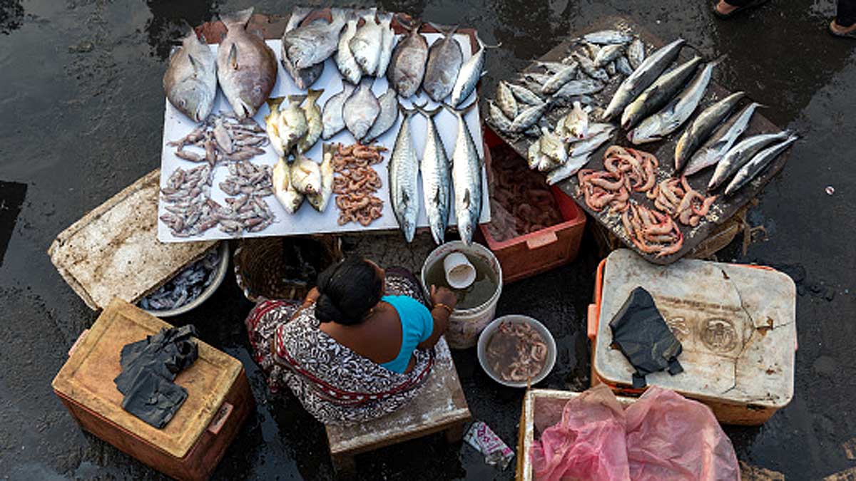 Microplastics in 7 Indian popular Fish 